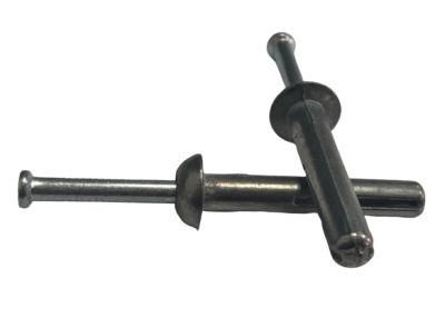 Zinc Alloy Zamak Hammer Drive Anchor
