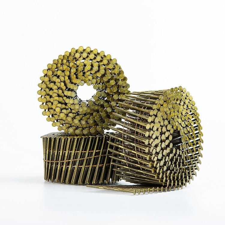Screw Shank Coil Nail for Construction