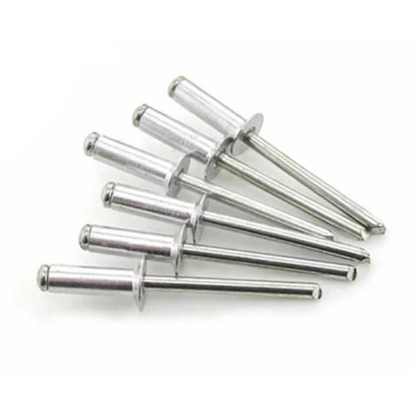 Stainless Steel Self-Plugging Blind Rivet with Big Visor
