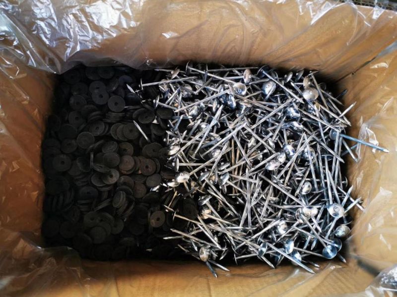 Roofing Screw Nails From Wholesale Nail Suppliers Is Popular in The World