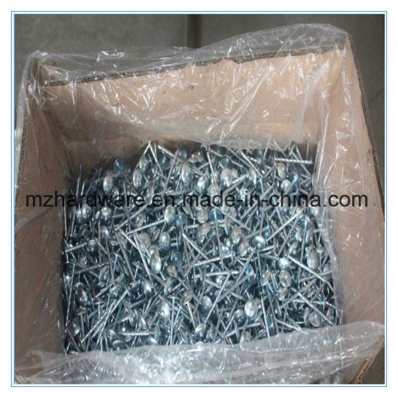 Umbrella Mushroom Head Smooth Twisted Screw Shank Roofing Nail