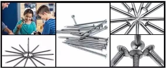 Common Round Iron Wire Nail