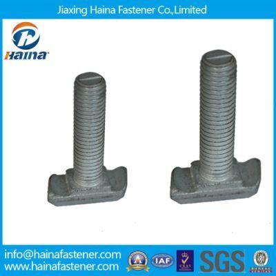 Standard 8.8 Grade Carbon Steel Hot DIP Galvanized T Bolt