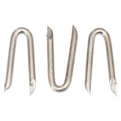 Sharp Point U Nails /Fence Staple/Electrol Galvanized High Quality Lower Price