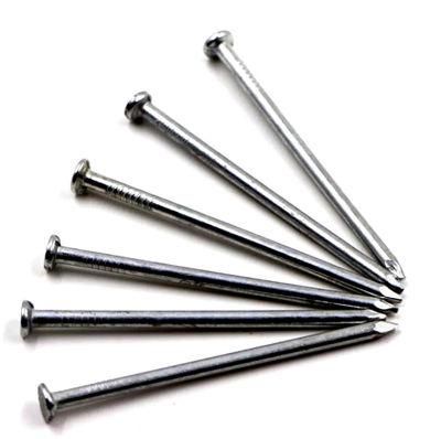 Hot Dipped Galvanized Common Iron Wire Nail