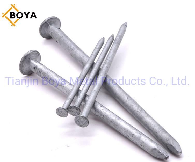 Material Q195 Polished Common Nail/Hot Dipped Galvanized Nail/Fastener Nail/Wood Nail for Building Construction