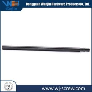 OEM/ODM Black Long Straight Bolt/Screw