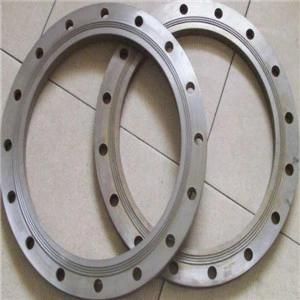 High Quality Carbon Steel Gas Ring Flange