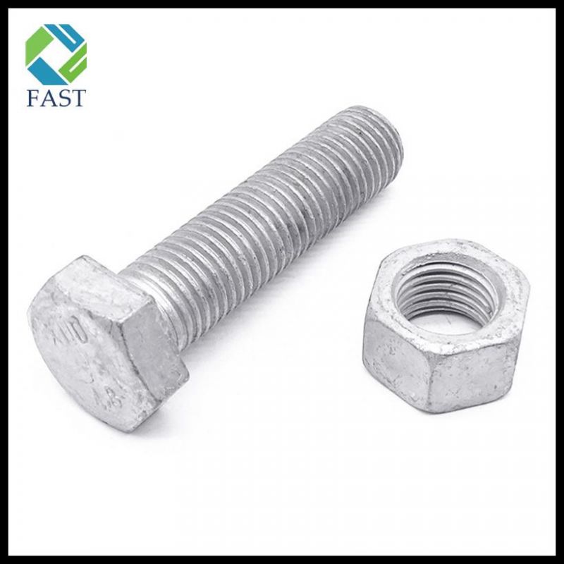 Made in China Gr 8.8 Hot DIP Galvanized Hex Bolt and Nut and Washer
