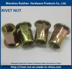 Flange Head Rivet Nut M5