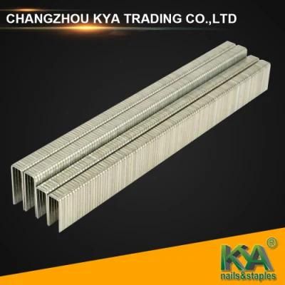 Prebna ED Galvanized Wire Staples for Packaging, Roofing, Construction