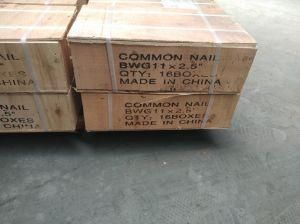 Wood Nail 11bwg 2.5&quot; X 9kg Wooden Box 16pkt Per CTN