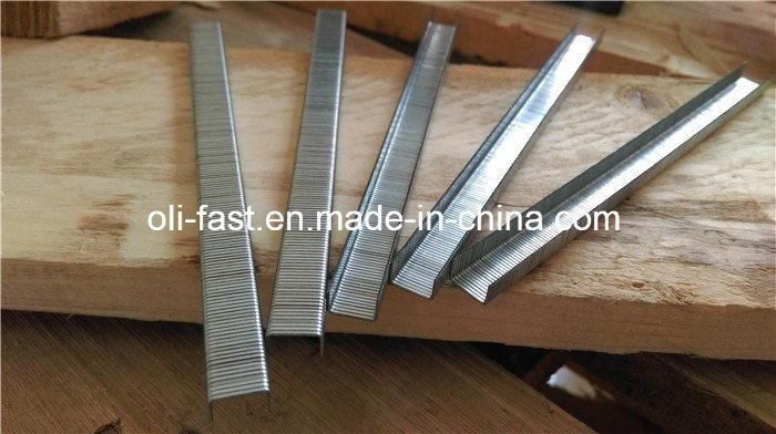 Prebena Vf Staples, 14 Staples
