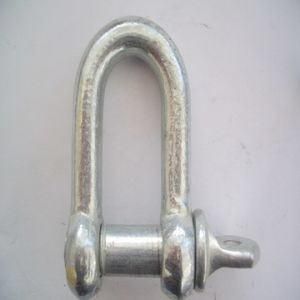 Stainless Steel Large Dee Shackle of European Type