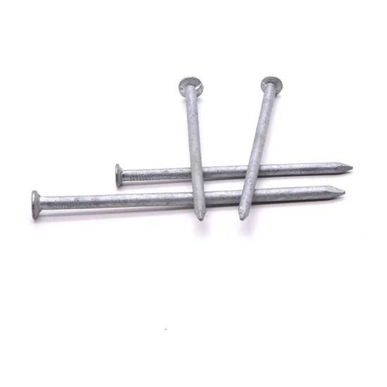 Q195 Galvanized Common Nail with High Quality