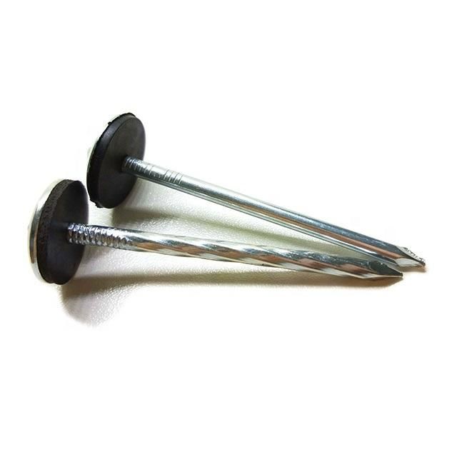 Namibia Market/Chinese Factory Supply Umbrella Roofing Nails Weight Nails with Galvanized Coating Galvanized Collated Roofing Nail