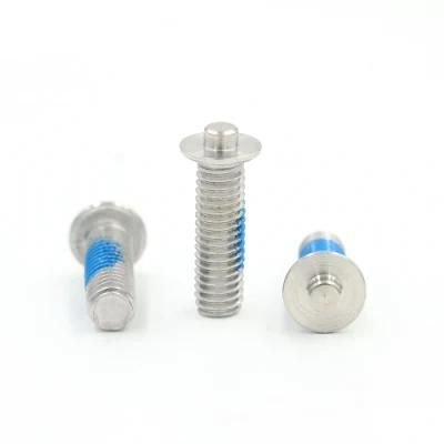 Custom Pan Head Cross Stainless Steel Screws with Nylon Patch