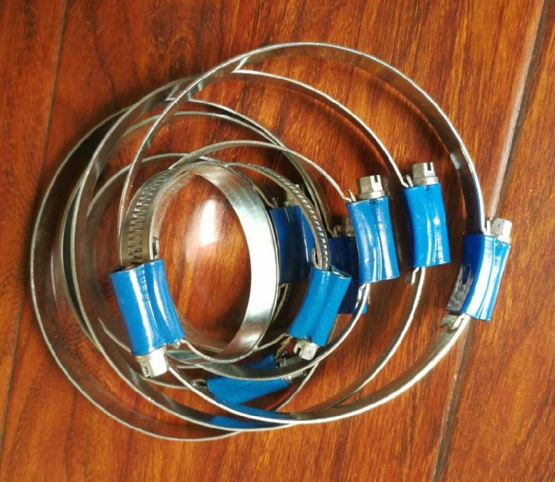 Carbon Steel Hose Clamp of British Type
