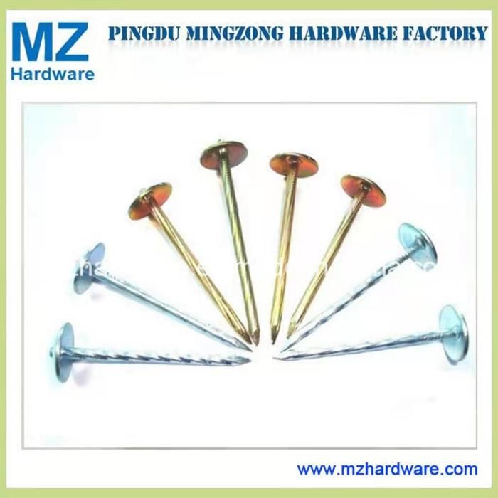 Eletro-Galvanized Nail Screw Shank Nail Roofing Nail with Factory Price