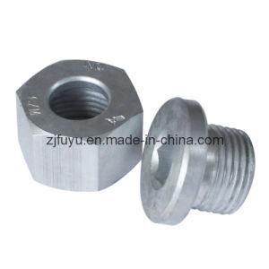 Hexagon Nuts (FYSF-0041)