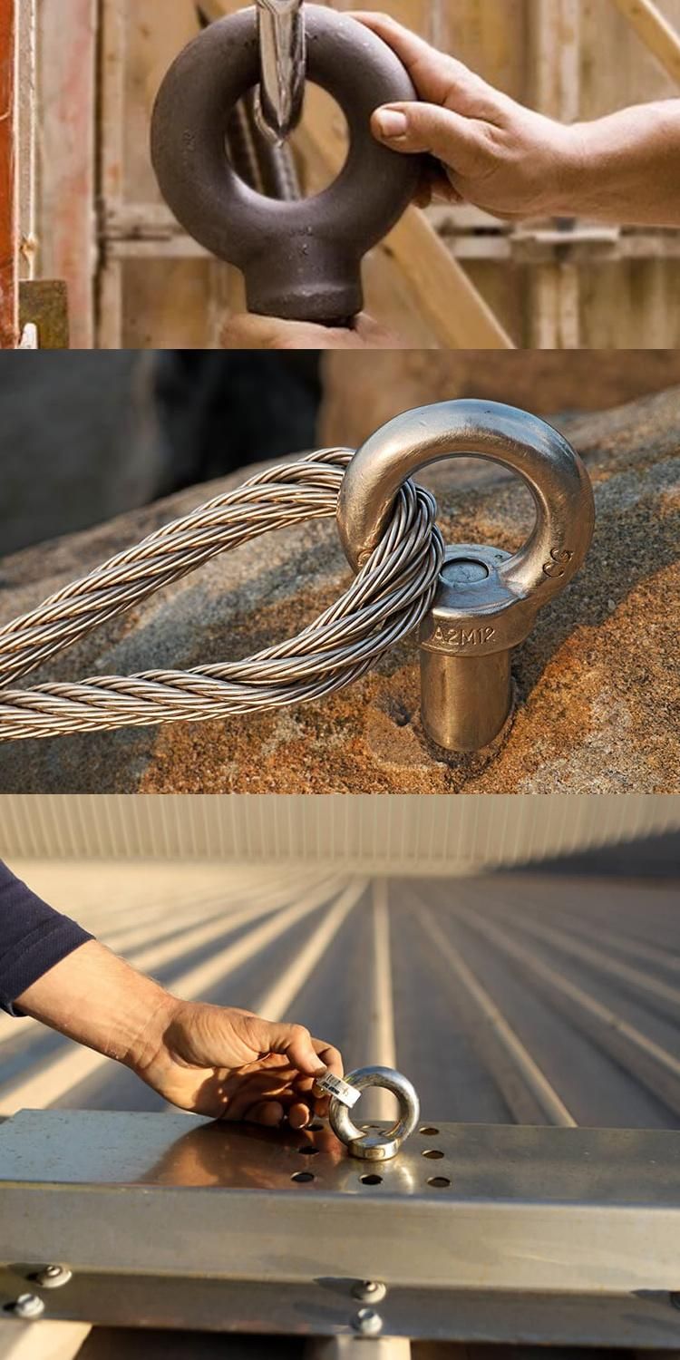 M16 Galvanized DIN580 Eyebolt for Lifting