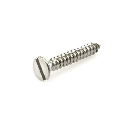 Stainless Steel 304 St2.2~St6.3 Slotted Self Tapping Screw