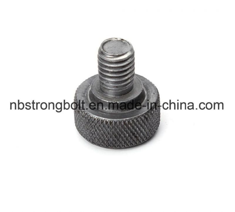 Plain Head Carbon Steel Plain Head Bolt Stainless Steel Cylindrical Head Screw Non-Standard