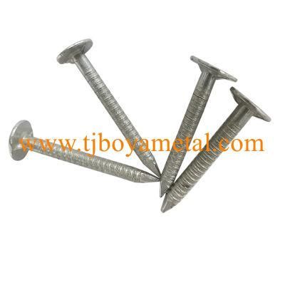 Large Head Roofing Nail Ring Shank Nails