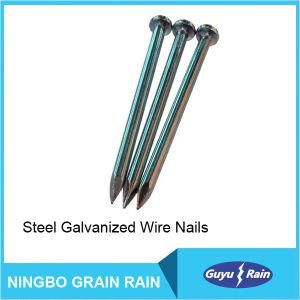 Steel Galvanized Wire Nails