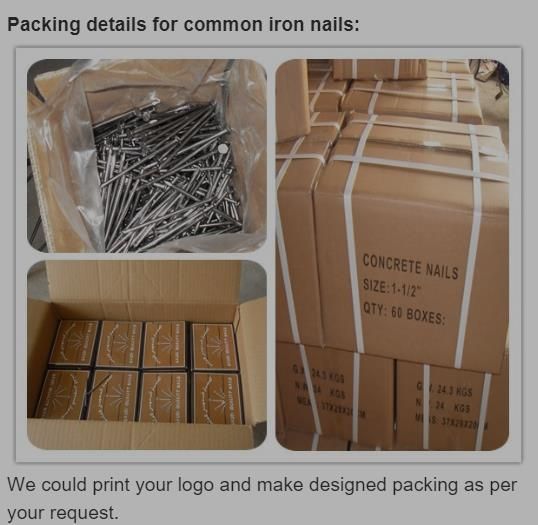 Mild Bright Black Ms Common Iron Wire Wood Steel Nails