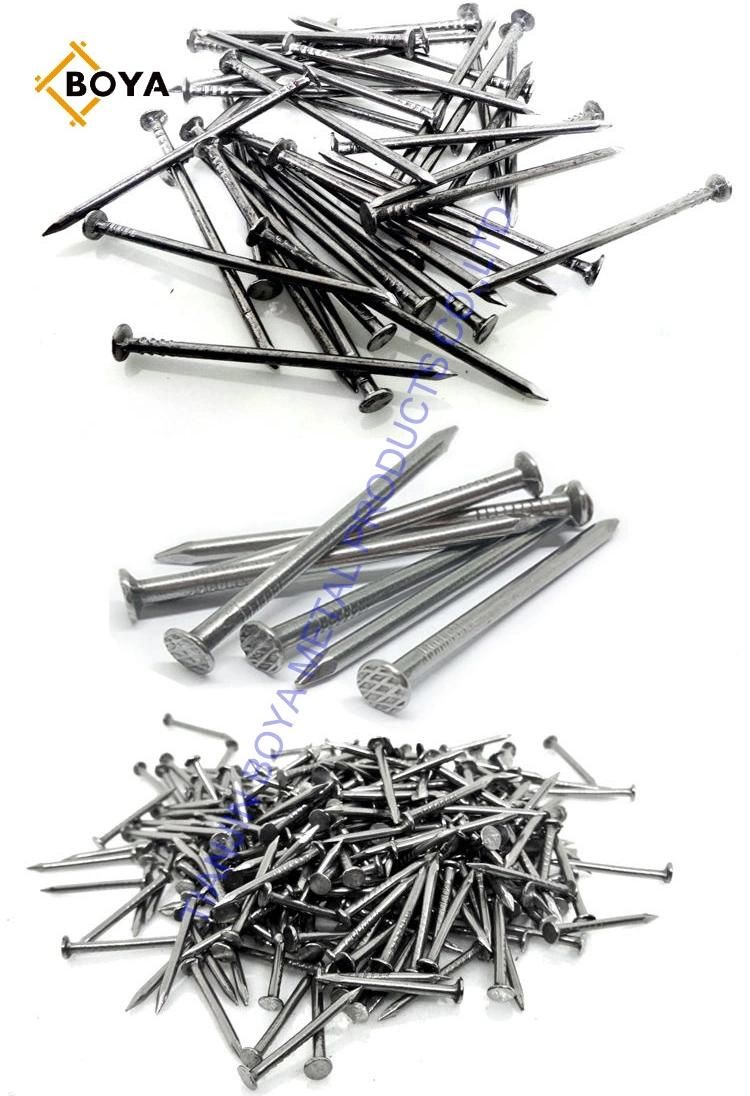 Best Quality Common Nail/Hot Dipped Iron Nail