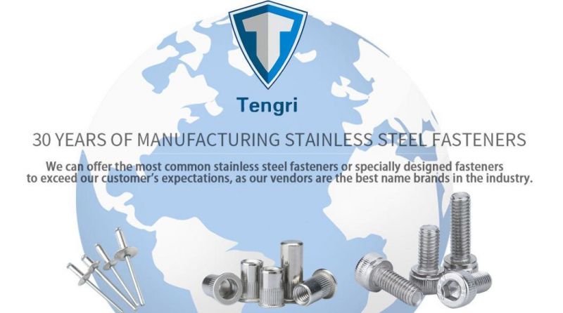 Heavy Hex Bolt Structural Bolts Socket Head Cap Bolt U Bolt Carriage Bolt Flange Bolt Coach Bolt T Bolt Anchor Bolt Guardrail Bolt Track Bolt for Buildings