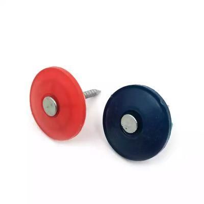 Hot Sale in America Maket Plastic Cap Nail Ring Shank
