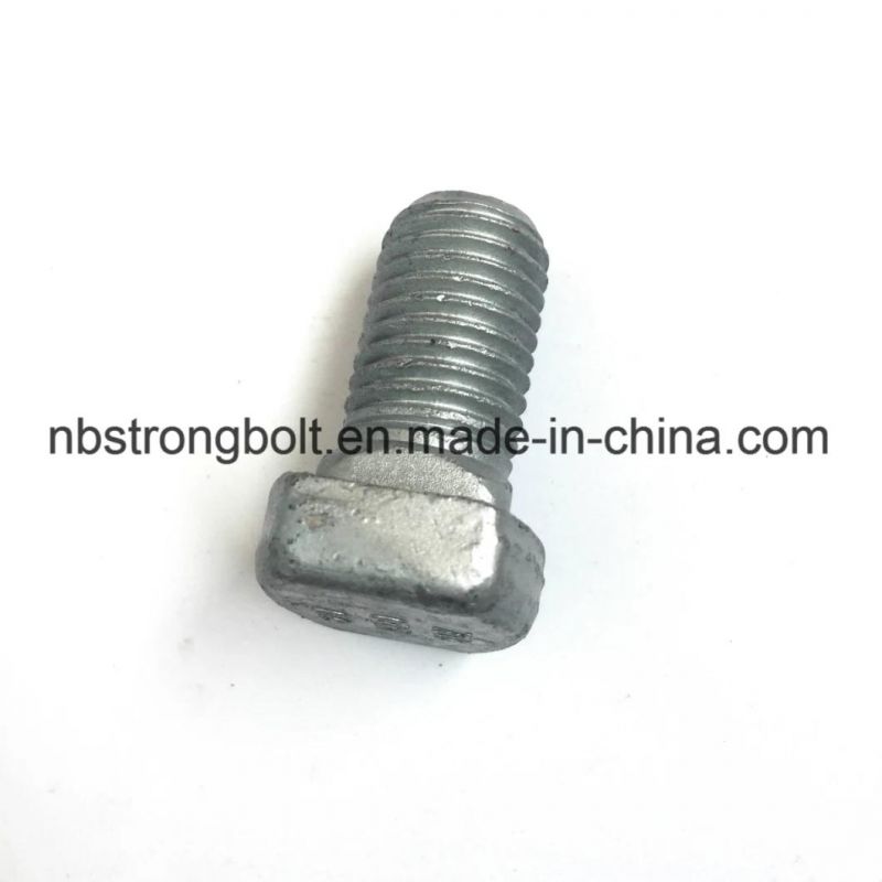 Square Head Bolt Screw Customization/Custmized Square Bolt