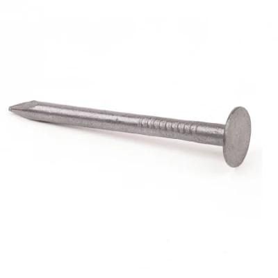 China Factory Supply Galvanized Clout Nail with Cheap Price