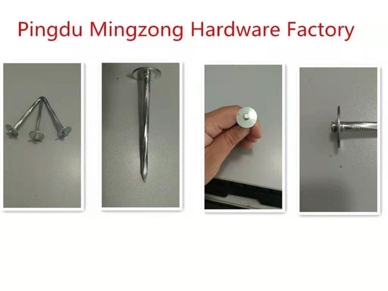 Flat Head Roofing Nails with Spiral Shank