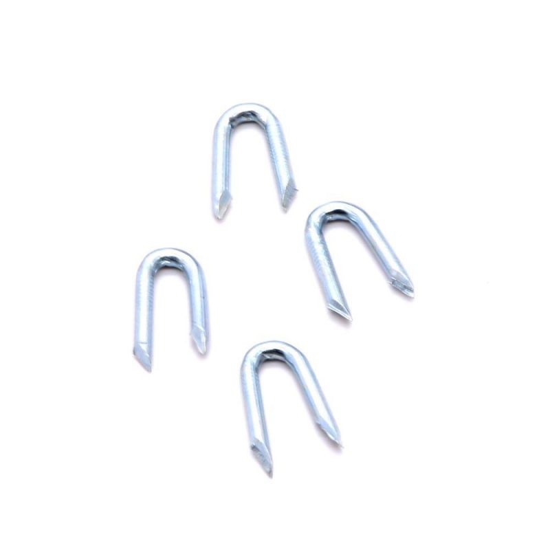 Thailand Laos Vietnam Philippines Singapore Market/Galvanized U Shape Nails/ U Staples