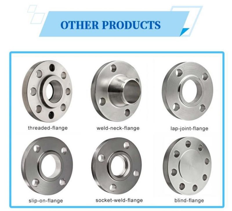 Ex-Factory Price DIN Standard Stainless Steel Forged Flange