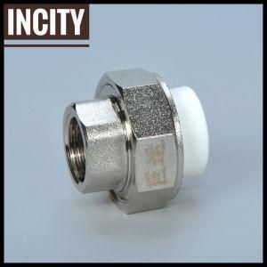 Pursue Quality PPR Fitting Female Brass Union