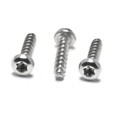 SS304 SS316 St2.9 St4.8 DIN7981 Stainless Steel Cross Recessed Pan Head Self Tapping Screws