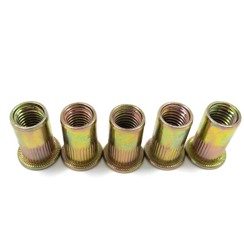 Stainless Steel Carbon Steel Flat Head Round Body Through Hole Rivet Nut with Knurling Body Blind Rivet Nuts