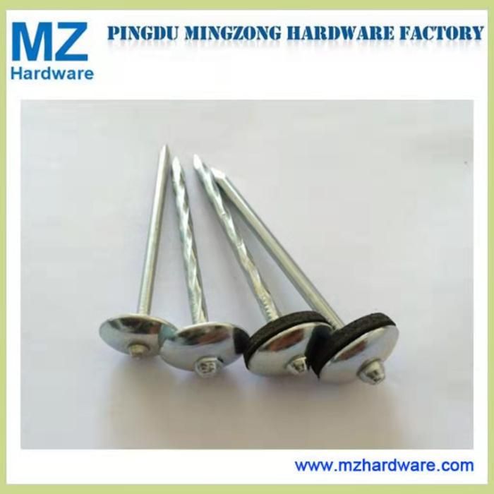 Umbrella Head Nail Galvanized Roofing Nail for Tanzania