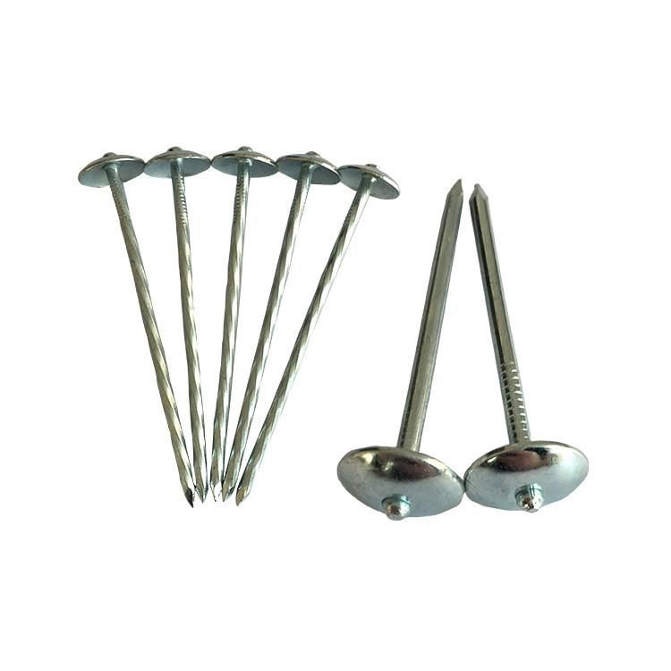 Galvanized Umbrella Head Roofing Nail Factory
