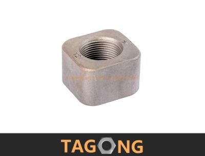 OEM Plain Carbon Special Square Nuts