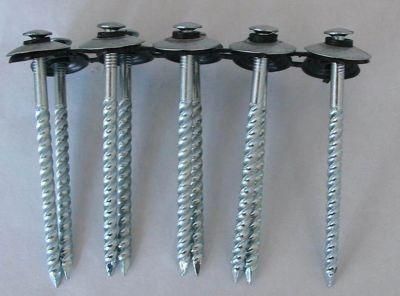Galvanized Straight Rod Corrugated Nail From Factory