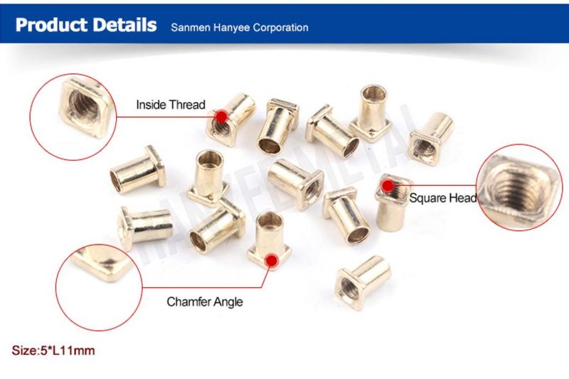 Accept OEM Optional Material Accept OEM Hollow Rivet