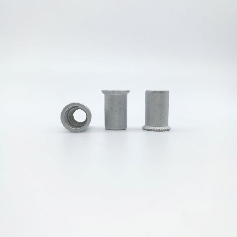 Dacromet Flat Head Hollow Rivet Nut