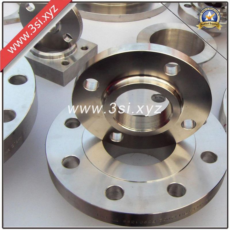 Hot Sale ASME Stainless Steel Threaded Flange (YZF-E397)