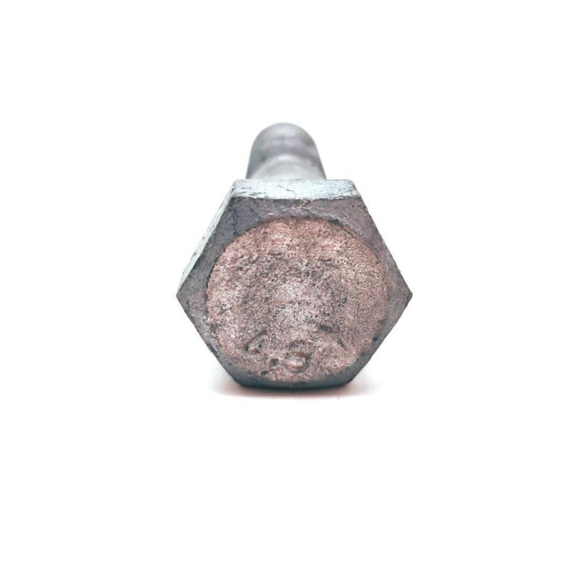 Alloy Steel HDG Black Oxide Carriage Bolt DIN 603 Mushroom Round Square Neck Head Bolt Coach Bolt Hex Head Bolt T Bolt U Bolt Toggle Bolt Anchor Bolt Screw Bolt