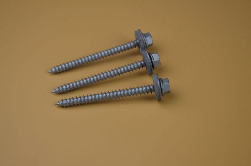 Long Roofing Screw /Self Drilling Screw SS304 Screw/Bi-Metal Screw